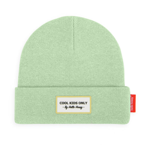 Beanie Urban Mint